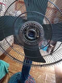 GFC Padestal/ Stand Fan 24"