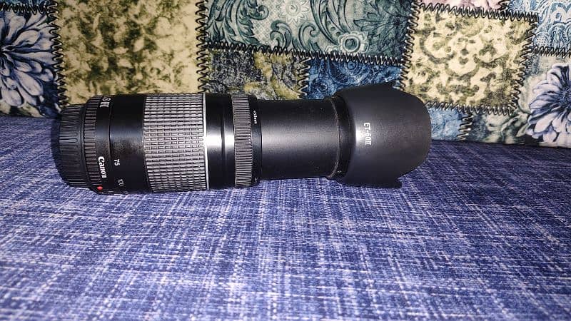 Canon Mount Zoom Lens 75-300 2