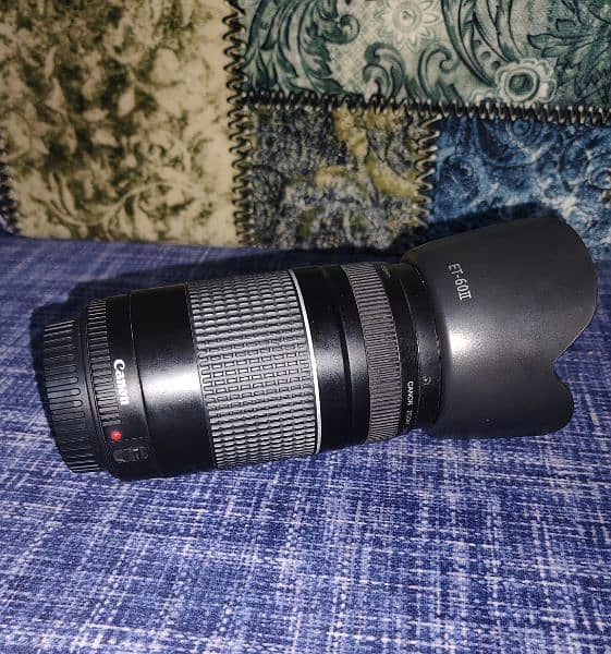 Canon Mount Zoom Lens 75-300 3