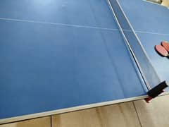 Table Tennis table