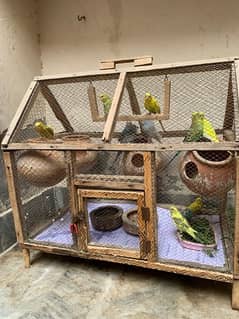autralian parrot with cage 11 piece