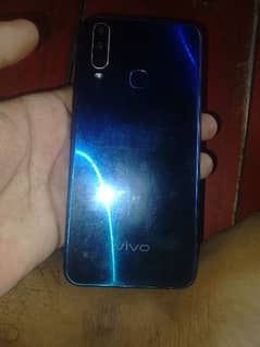 vivo