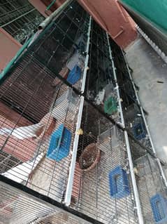 5 cages Good condition 18 portion