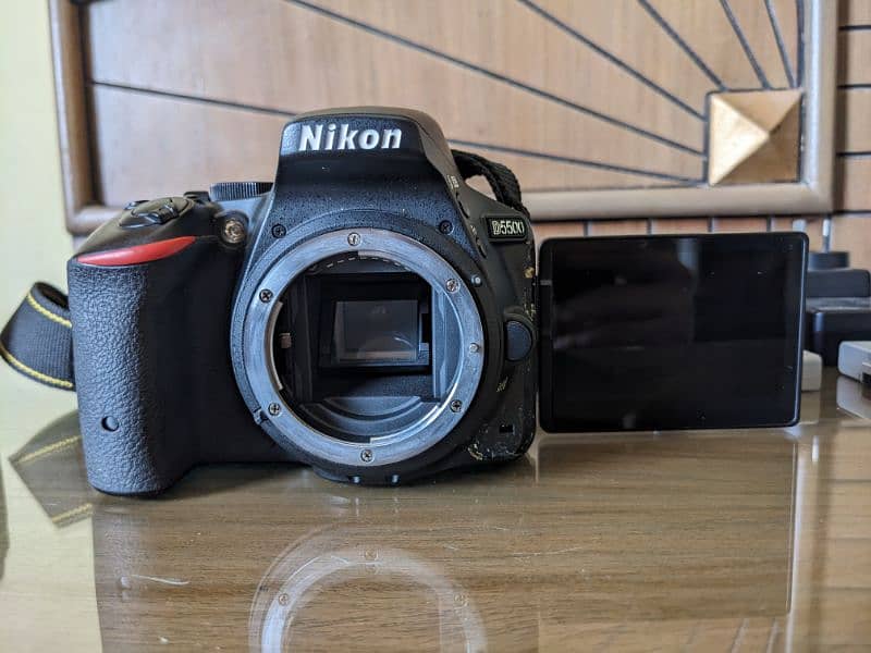 Nikon D5500 with Nikkor AF-S 50mm 1.8g and Nikkor AF-P 18-55mm DX VR 0