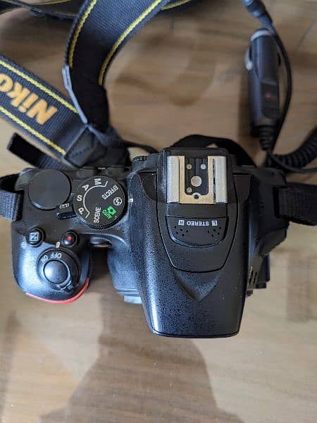 Nikon D5500 with Nikkor AF-S 50mm 1.8g and Nikkor AF-P 18-55mm DX VR 5