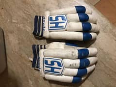 cricket gloves  in very nice condition
