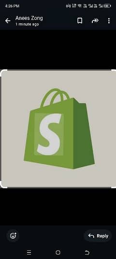 Shopify theme and full store customization in low prices