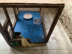 cage for hen