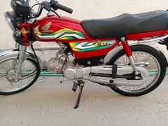 CD70cc