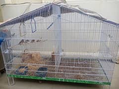 Bird Cages with Four finches