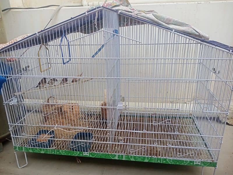 Bird Cages with Four finches 0