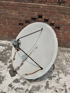 dish