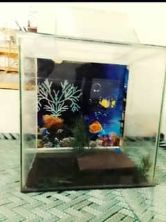 fish aquarium new condition ha price bhi bht low ha