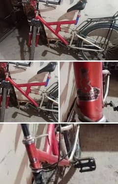 Sohrab Bicycle Sale Urgently in 12000