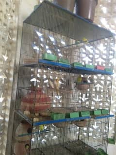 6 month use birds cage