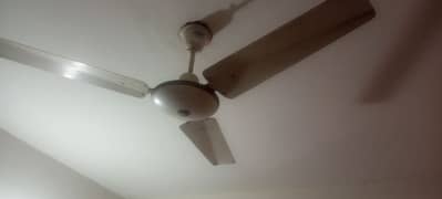 ceiling Fan