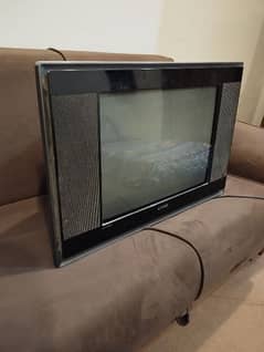 singer TV