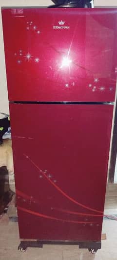 medium size fridge 10 by 9.5