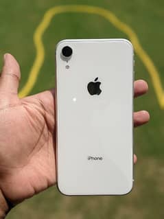 iPhone XR