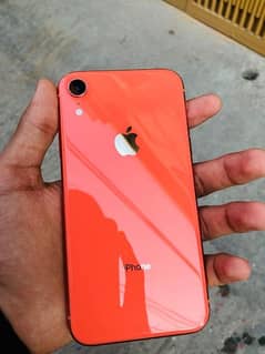 Iphone XR 0