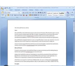 MS word assignment typing