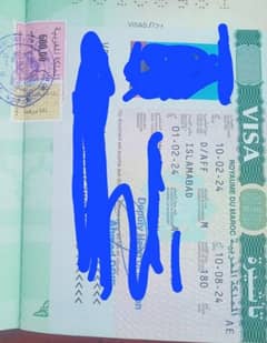 Morocco  Visa Brazil Mexico Suriname Cuba  visit business