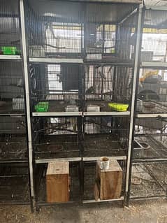 8 portion cages available for lovebirds and other birds