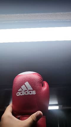 Adidas Boxing Gloves