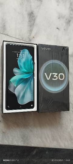 Vivo V30 PTA approved