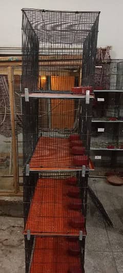 8 portion cage for sale in Multan