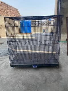 cage for birds