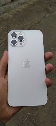 Iphone 12 pro max