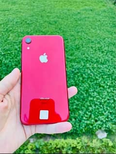 iphone Xr 128gb 10/10 condition 81 battery health
