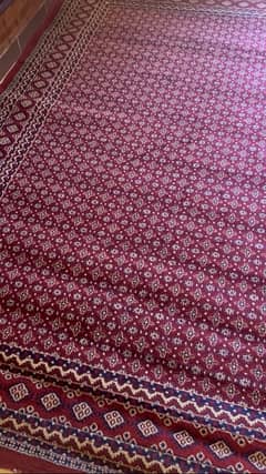 on sale maroon carpet