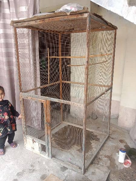 parrot cages 3