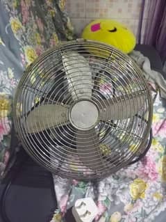 fan