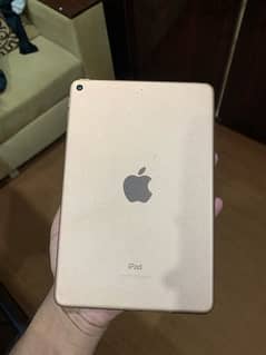 ipad mini 5