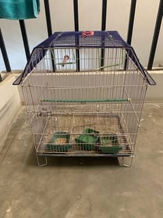 cage for sale