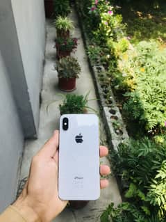 IPHONE X  64 GB PTA APPROVED