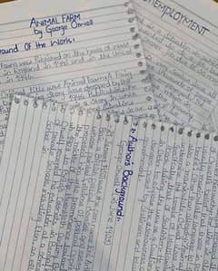 assignment hand writing services available professionaly