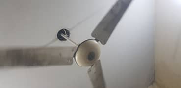 ceiling fan