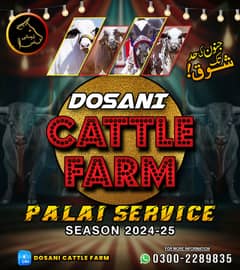 palai service available