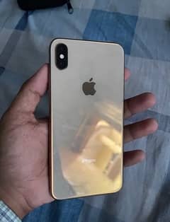 Xs max Pta