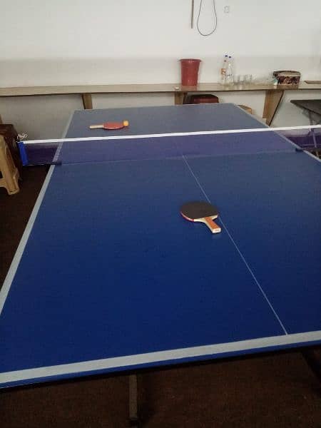 Table tennis table 10