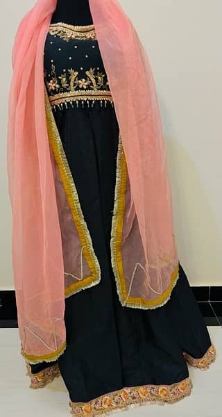 Dresses /formal dresses /saree/maxi for wedding wear for sale 19