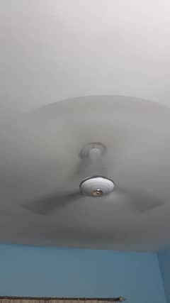 Ceiling fan in excellent condition