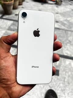 iPhone XR NON PTA LL/A Model