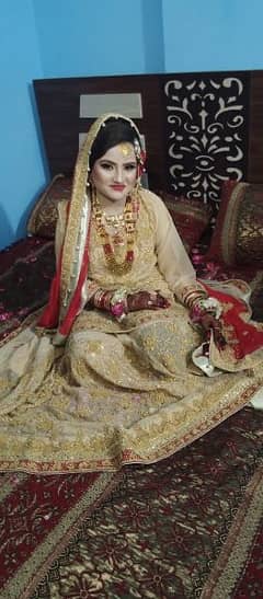 BRIDAL SHARARA only one time use .