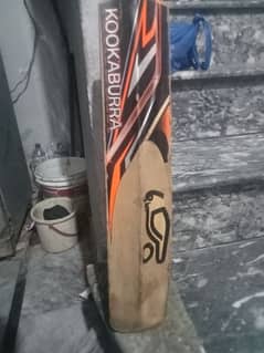 kookaburra bat English willow