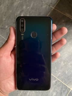 vivo